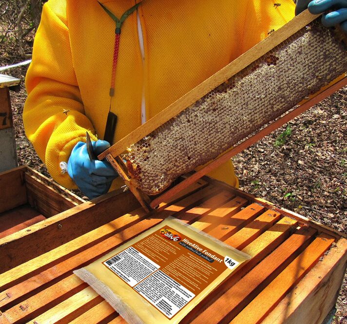 HiveAlive fondant-pudersööt õietolmuga - Image 2