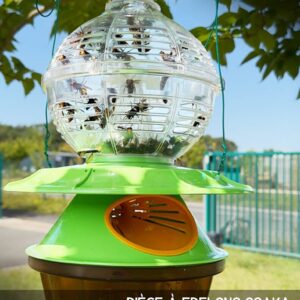 Vapsiku/Vaablase püünis